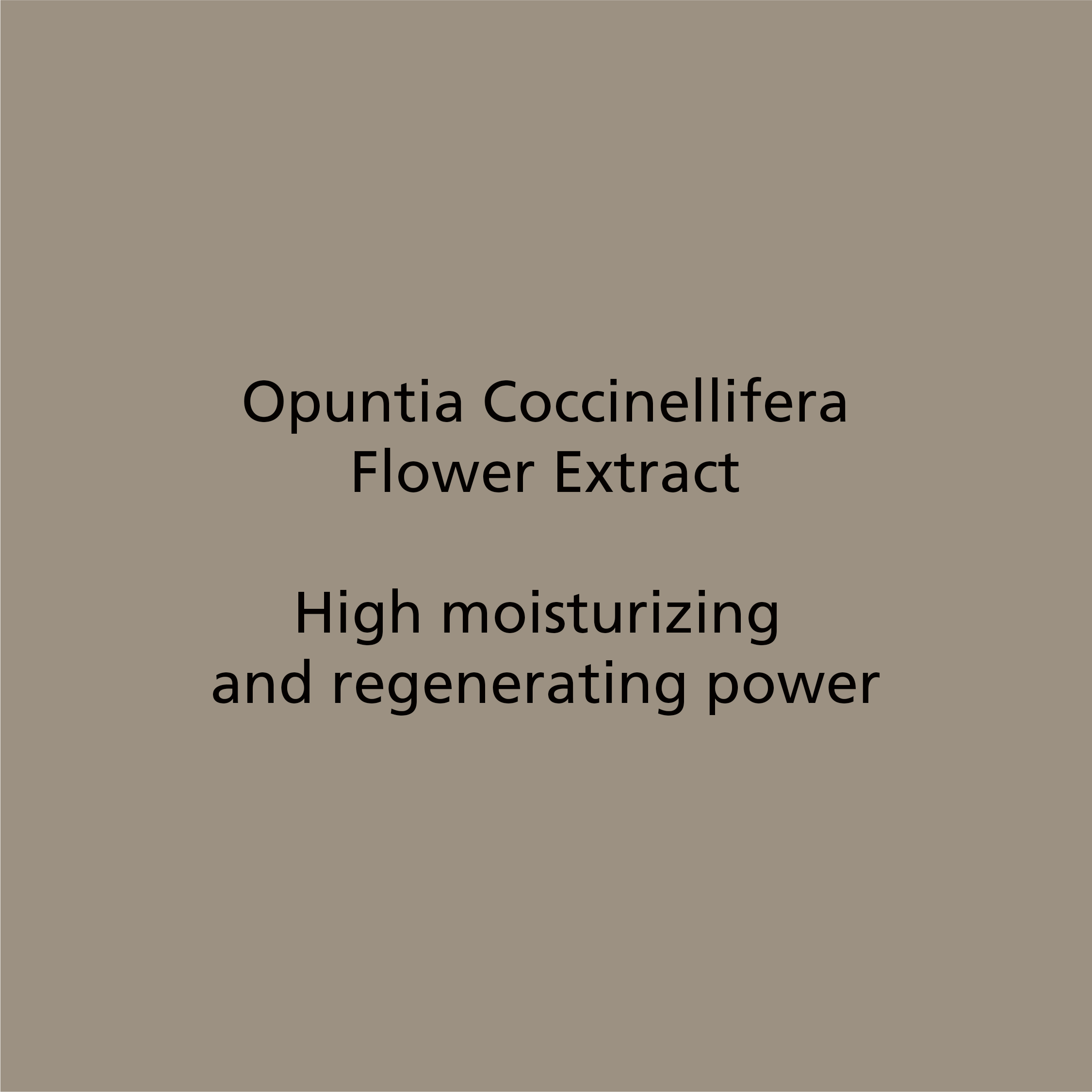 Opuntia Coccinellifera Flower Extract